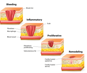 unnamed 1 e1771075550430